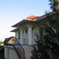 Erd Szilvafa u 001